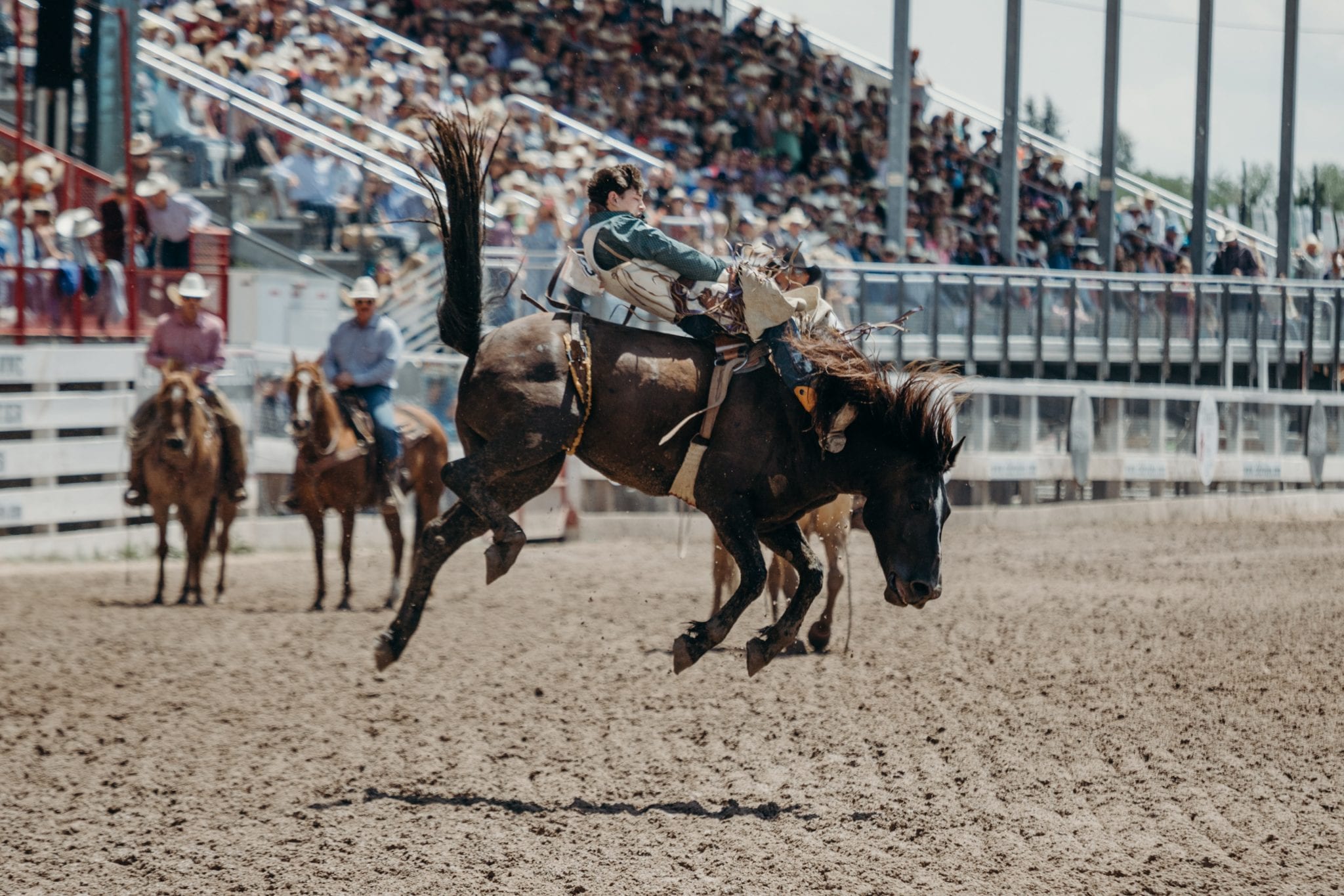 wrangle sales team