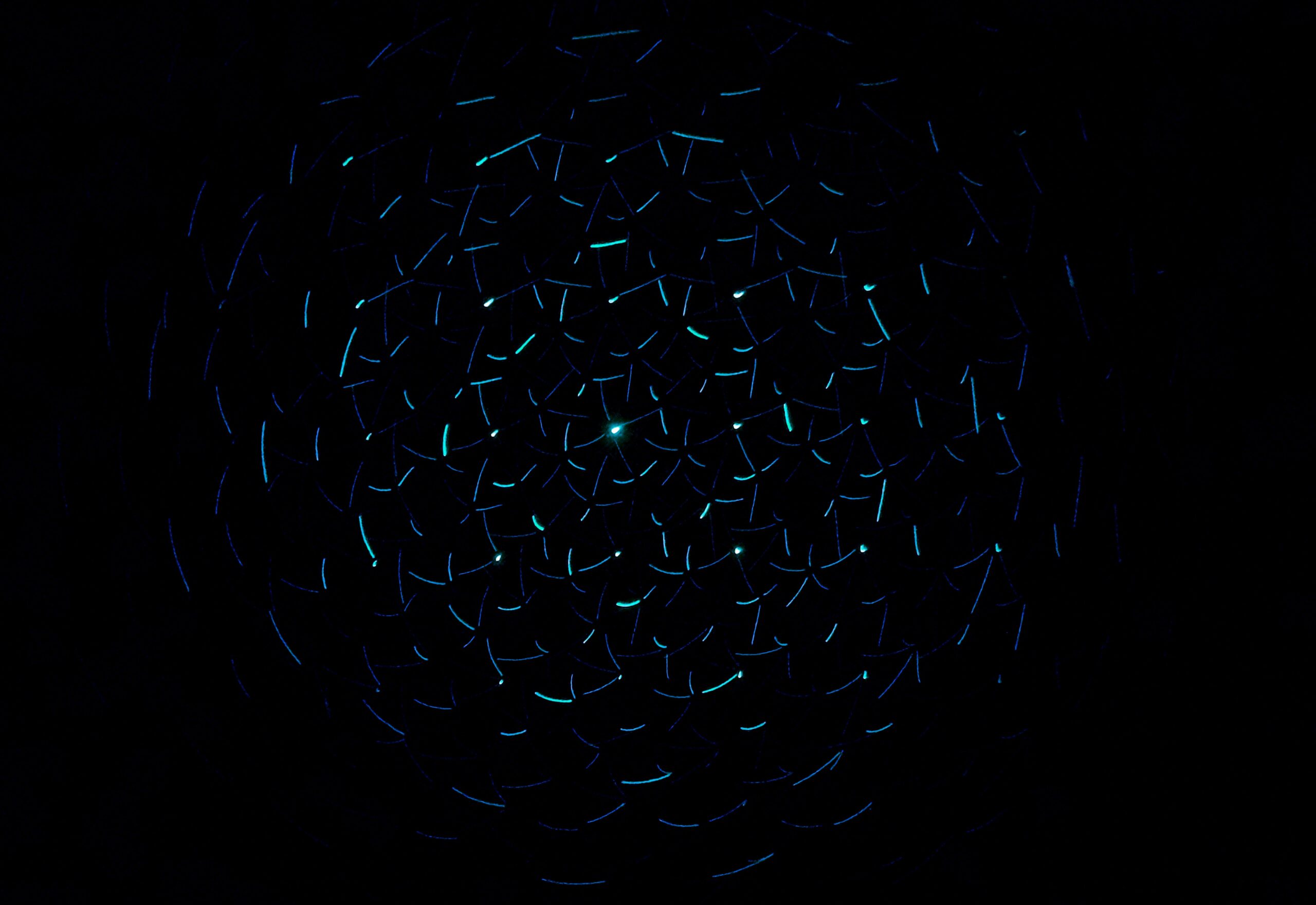 ai gtm maturity early stages